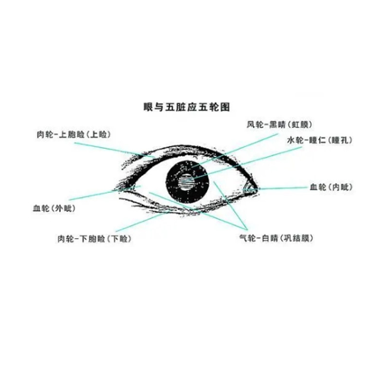 中醫(yī)五輪學(xué)說